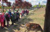 Výlet do ZOO Chleby