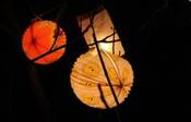 Lampionov&yacute; průvod a usp&aacute;v&aacute;n&iacute; broučků