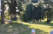 Prvn&iacute; t&yacute;den 2.A ve &scaron;kole